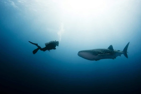 Deep Diver Course - Dive safely to 40 meters