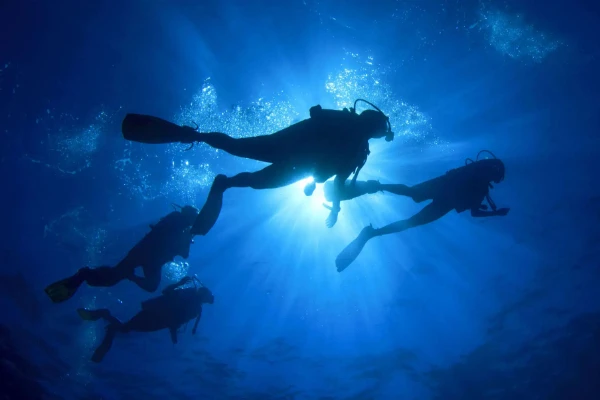 Night Diver Course - Explore the ocean after dark
