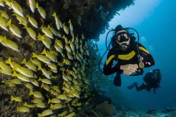 Open Water and Advanced Package - Complete diving certification combo