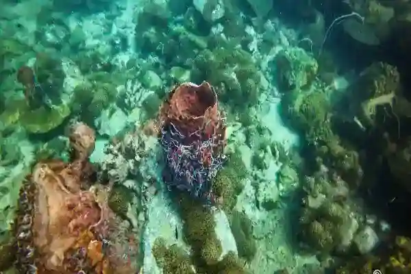 Diver exploring marine-rich rock formations at Hin Pray Nam
