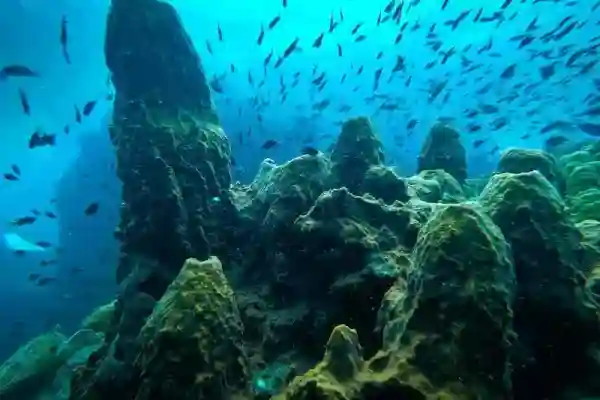 Hin Raab North Coral Reef – Northern Dive Site Koh Chang