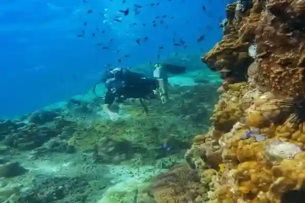 Hin Raab South - Iconic reef dive site at Koh Chang with turtles and triggerfish
