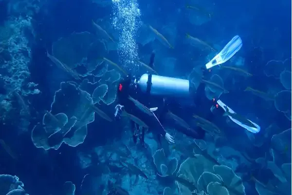 Hin Sam Sao – Dive site with a mix of hard and soft coral formations