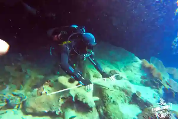 Barracudas and schooling fish swimming at Hin Rua Tek dive site