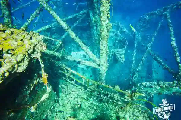 Structure of HTMS Chang underwater with coral growth