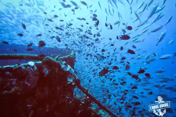 HTMS Chang wreck dive site – overview from the surface