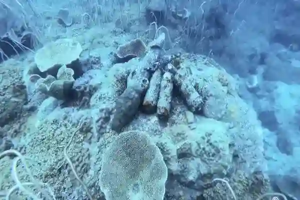 Diver exploring the secret reef at Koh Chang, Thailand