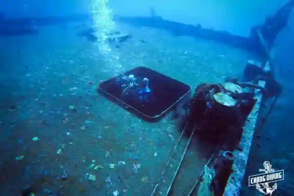 Close-up of T11 wreck features with coral growth