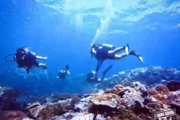 Advanced open water diver course practicing deep diving skills and buoyancy control