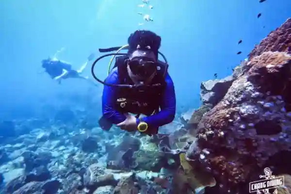 Advanced open water diver course night diving adventure discovering nocturnal marine life