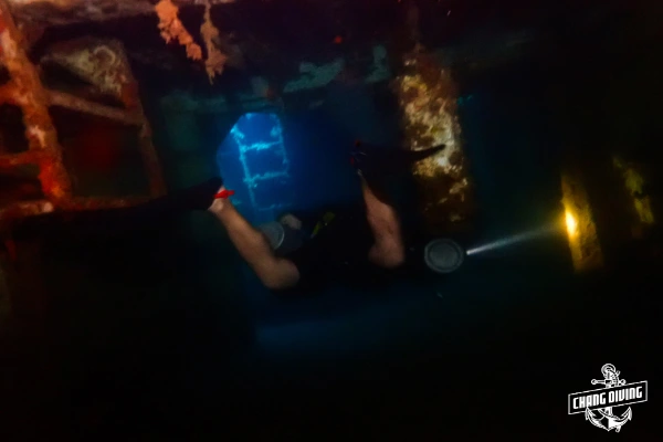 Interior room of HTMS Chang with light beams and schooling fish