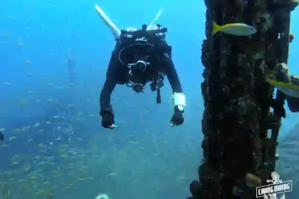 Master scuba diver program wreck diving and deep diving specialty courses