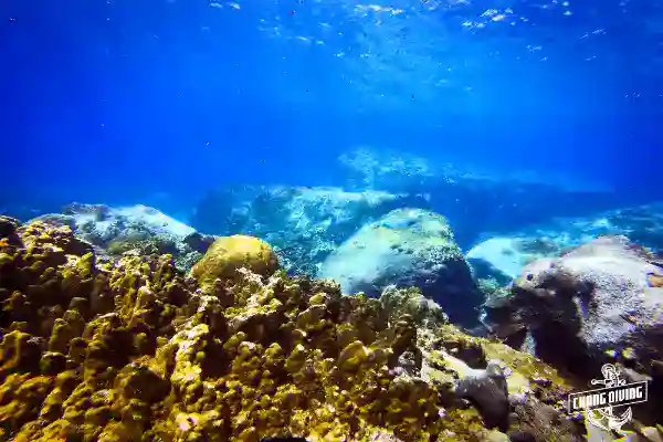Nitrox diver hovering calmly over vibrant coral reef in Koh Chang