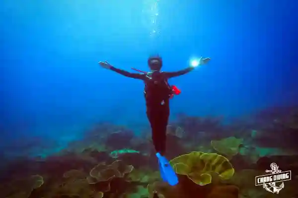 Nitrox-certified diver gliding above hard corals and anemones