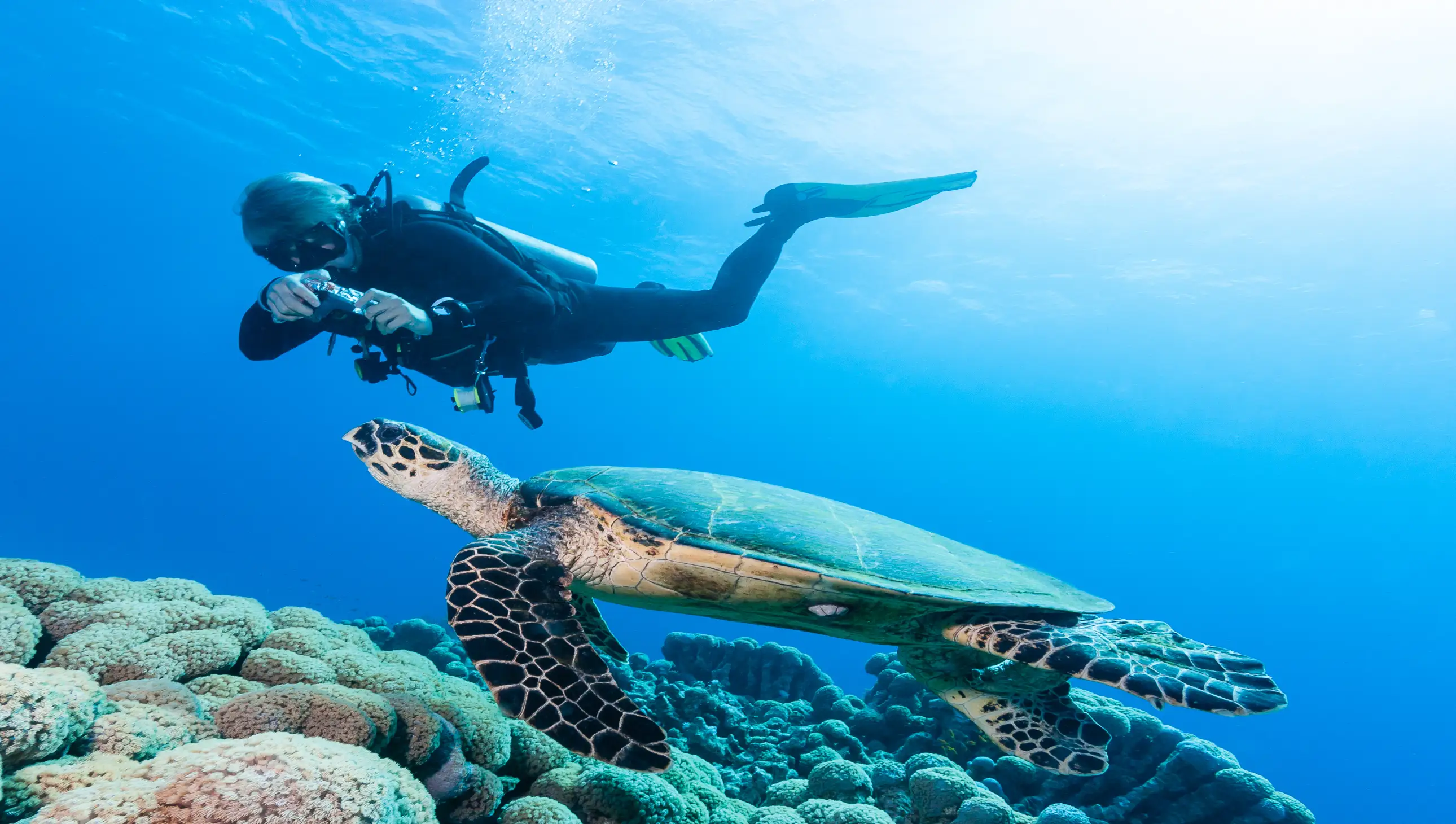 Open Water bis Divemaster Paket – Komplette Tauchausbildung