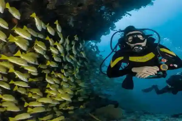 Open Water + Advanced Package – Complete Certification