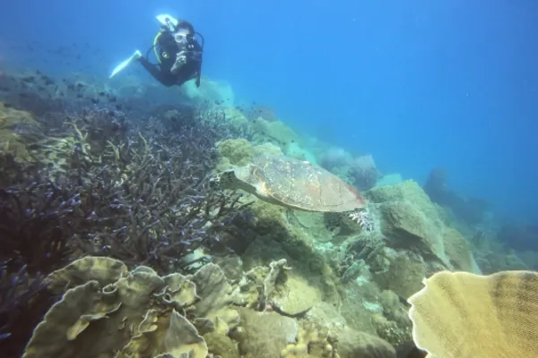 Open water to advanced combo course learning buoyancy control and navigation