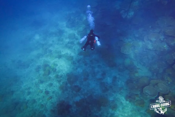 Instructor teaching sidemount gas management and regulator switching techniques